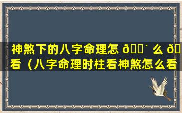 神煞下的八字命理怎 🐴 么 🐶 看（八字命理时柱看神煞怎么看）